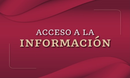 Acceso a la Informacin