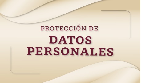 Proteccin de Datos Personales